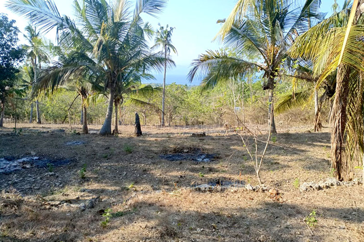 Pemandangan Laut Nusa Penida