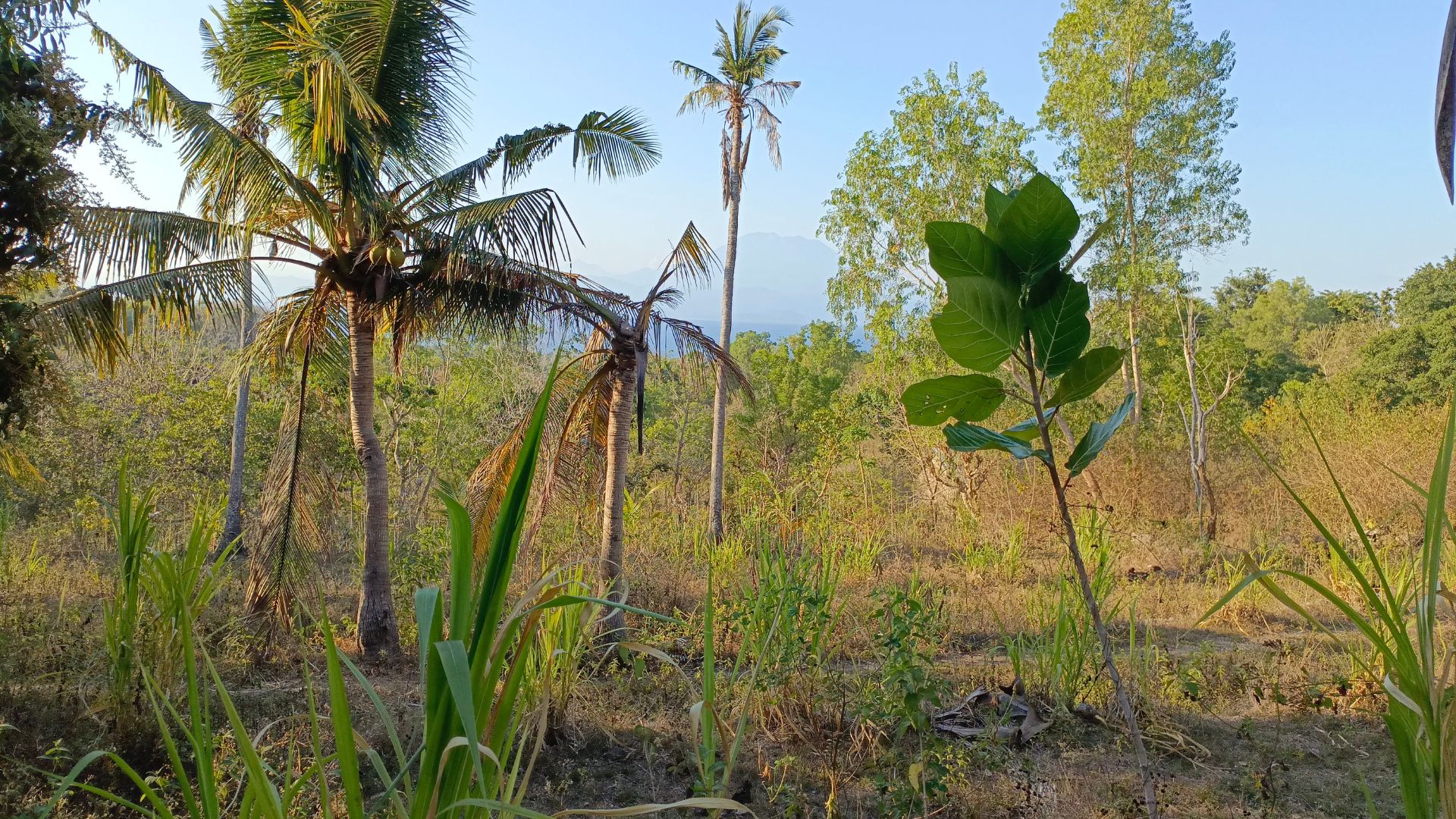Lingkungan & Pemandangan Laut