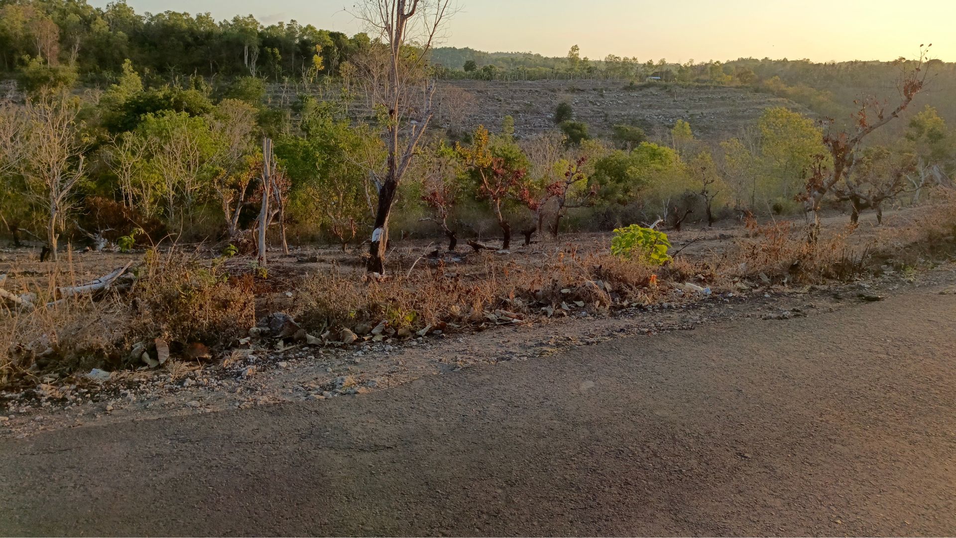 Pemandangan Perbukitan Nusa Penida