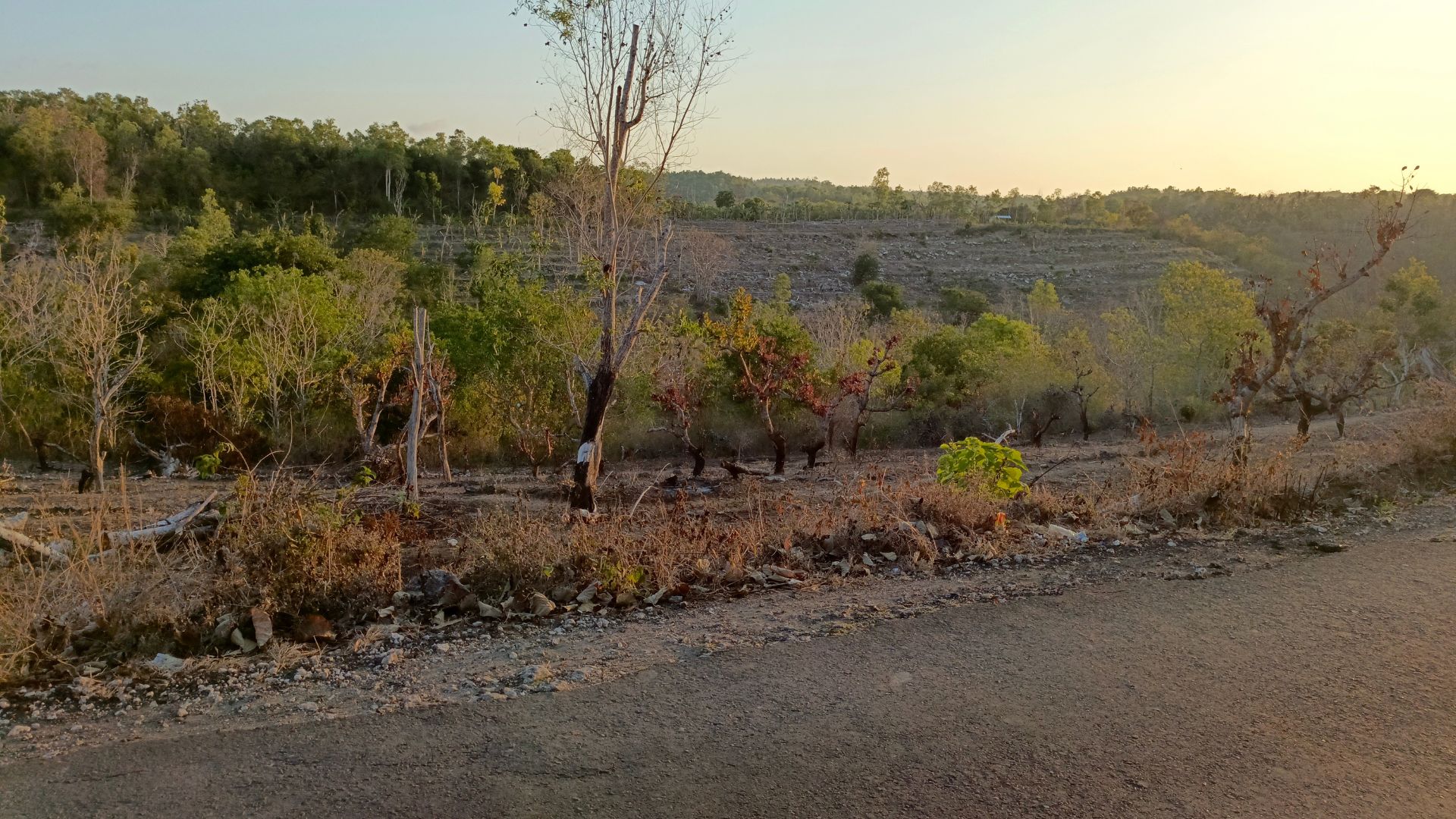 Lingkungan & Pemandangan Sekitar