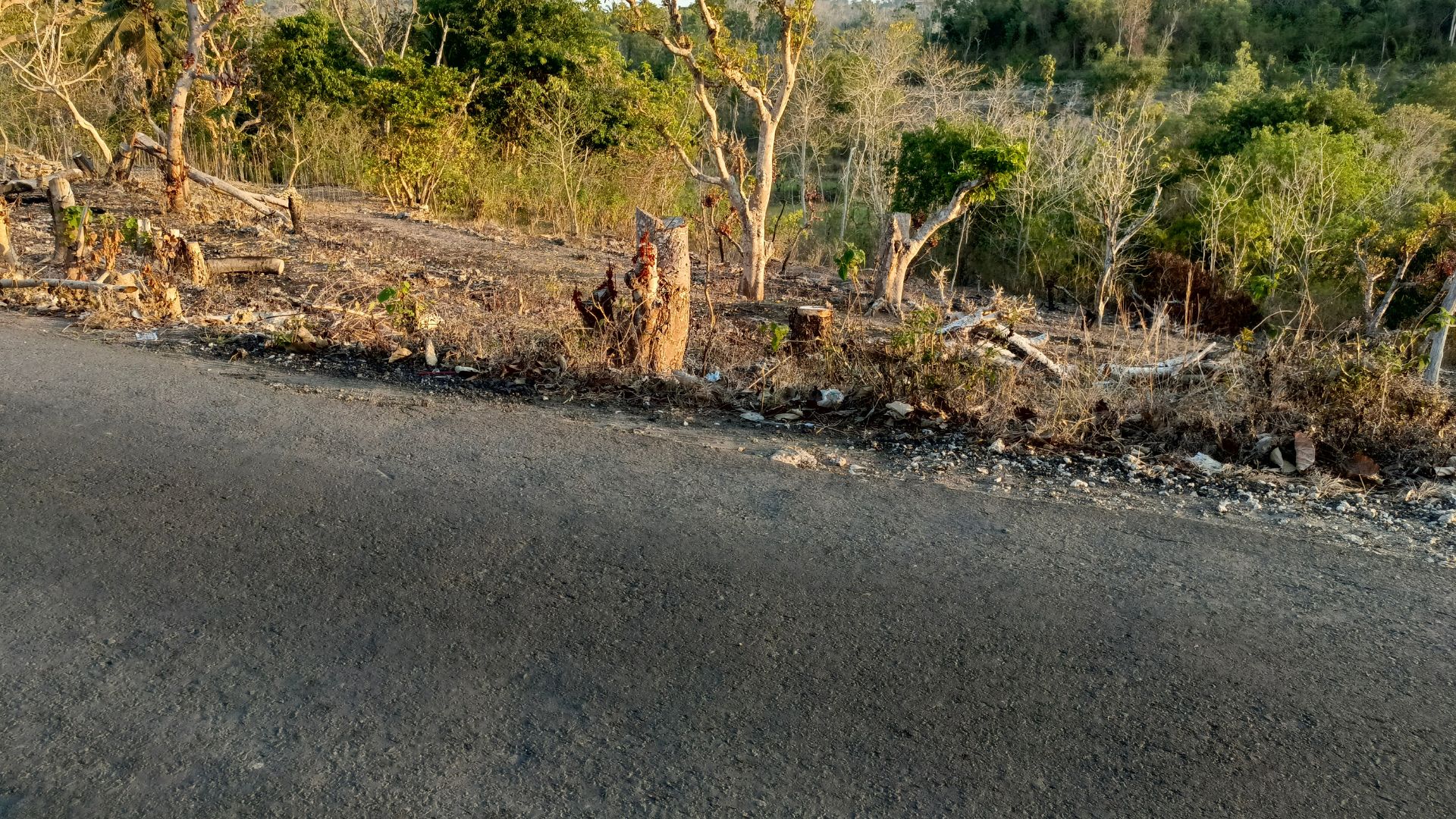 Lingkungan & Pemandangan Sekitar
